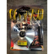 義大利 MALOSSI 傳動套件組 G-DINK300 / TIGRA250 / TIGER200, 1個