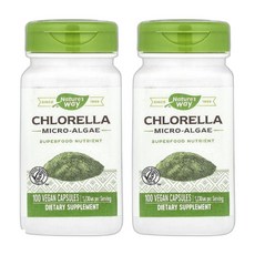 네이처스 웨이 클로렐라 미세조류 베지 캡슐 100정(캡슐 1정당 410mg) 2개