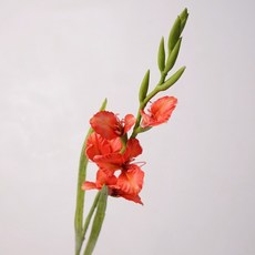 高品質仿真花藝擺飾 歐式餐桌茶几裝飾假花 家居婚慶造景, 1個, 單枝5頭劍蘭-紅色