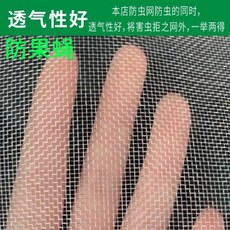 防蟲網 多功能農用防蚊網 果樹鳥網 菜網 庭院紗窗布, 加厚60目,【全新透氣抗老30*30公分