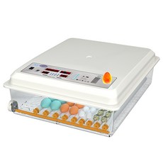 全自動保溫孵化機 110V 雙電源 不挑蛋種 可當保溫箱 孵蛋器 孵蛋機 孵化箱, 全自動64枚, 雙電款 孵蛋機