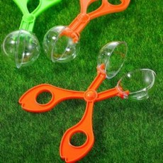 곤충 집게 작은곤충관찰, 오렌지