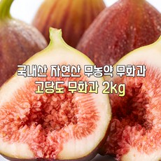 [산진직송] 25년 국내산 새벽수확 당일배송 무농약 유기농 고당도 영암. 해남 햇 무화과 가정용 선물용 제철과일, 1박스, 새벽수확 당일배송 무농약 유기농 고당도 무화과 2kg