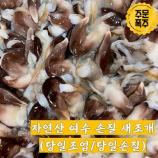 국내산 당일조업 자연산 손질 새조개 제철 해산물, 1개, 500g