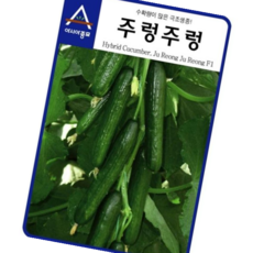 종자 다수확 오이씨앗 주렁주렁 10립 오이종자