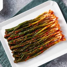 전라도 전통 레시피 국내산 쪽파김치(매일제조), 1개, 1kg