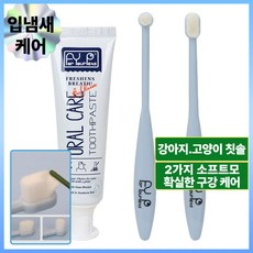 하이코이 강아지 치약 칫솔 세트 초미세모 2종 애견 덴탈케어 60g, 1개