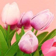 리얼 생화 퀄러티 그라데이션 망고 튤립 1P, 화이트