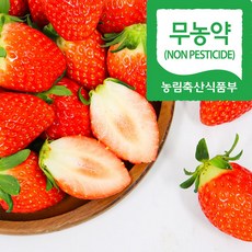 [프리미엄] 달콤한 국내산 무농약 금실 딸기, 1개, 480g(싱)