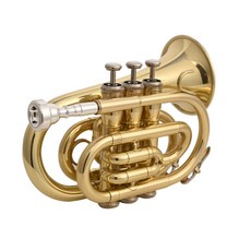 라이만 플랫 시험 가 초보자 골드 성인 금색 초보 입문용 금관 연주 호른 악기, 1개