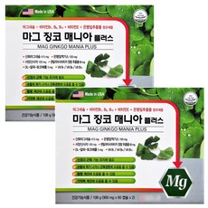 마그 징코 매니아플러스120캡슐x2박스 마그네슘 비타민B 은행잎추출물 비타민E, 2개, 120정