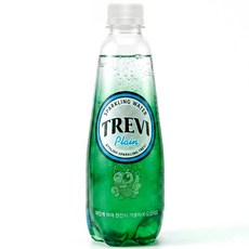 롯데칠성 트레비 플레인 탄산수, 300ml, 5개