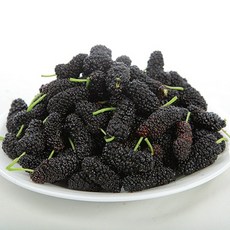 24년 햇 오디(생과), 1kg, 1개