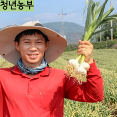 [26년} 햇마늘 건조 의성 (소~중 크기) 장아찌용 (대~특 크기) 산지직송, 1박스, 1kg (중)