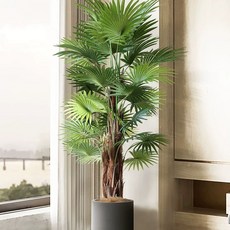거실 화분 시멘트 단지 인테리어 테라조 모던 원통형, J. 3 극산 산란 250cm