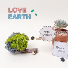 원예 미니어처 만들기 공기정화 모스잔디 메모꽂이 원예활동 화분 체험활동 복지센터 창체, 1개