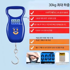 휴대용 디지털 전자저울 초정밀 미니 손저울 여행용 수하물 계량용 LCD포켓 소형 저울, 단일 모델, 손잡이 저울 블루 30kg 백라이트 충전식, 30kg