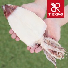 반건조 한치 10마리 마른 한치구이 건한치 안주, 한치 소 5마리 (100g전후), 1개