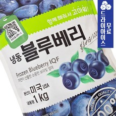 분이네 재호 블루베리 1kg 미국산 A급 냉동 과일 빙수 요거트 스무디, 1개, 1개입