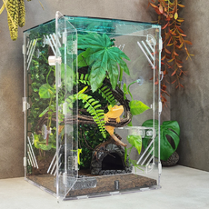 에버리움 크레스티드 게코 도마뱀 아크릴 사육장 세트 - 중형 24x24x36cm, 1세트, 에메랄드