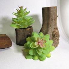仿真多肉植物, P97仿真多肉+木頭底座(隨機), 1套