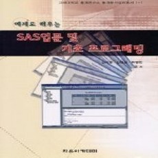 [개똥이네][중고-상] 예제로 배우는 SAS입문 및 기초 프로그래밍