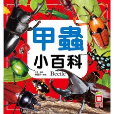 幼福文化 甲蟲小百科 正方形兒童書籍, 平裝