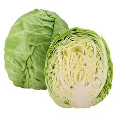 [재구매1위] 양배추 제주 강원 아삭 싱싱한, 2개, 1.5kg