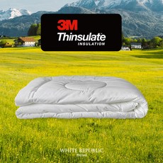 3M Thinsulate Duvet 3M 신슐레이트 이불솜 S SS Q K (여름솜/사계절솜/겨울솜/한겨울솜), Light Warm SS (160x210)