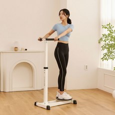 은성헬스빌 1인용 트위스트 운동기구, 화이트 + 블랙, 1개