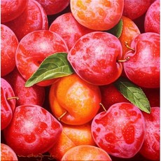 자두 - 풍요 이창효, 1개