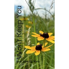 (영문도서) I Won't Keep You: Short Essays & Little Fictions Hardcover, Curious Word, LLC, English, 9798991674706