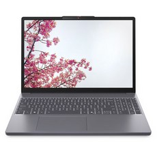 레노버 2025 아이디어패드 슬림 3 15ARP10 라이젠5 라이젠 7000 시리즈, Luna Grey, 4TB, 24GB, Free DOS, 83K70036KR