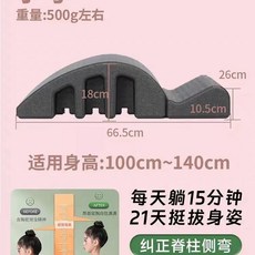 스파인코렉터 필라테스 스트레칭 기구