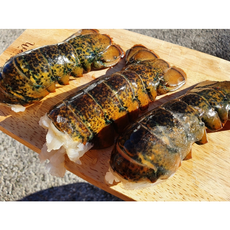 랍스터 테일 1미, 1개, 상세페이지 참조