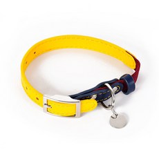 防走失刻字狗狗貓咪項圈 寵物項圈 寵物頸圈 小型犬項圈 Dego, 雅黃色,均碼, 1個