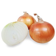 현이파머스 국내산 25년 양파, 1개, [특가] 중 사이즈 5kg