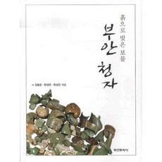 扶安青瓷：以土捏塑的寶物, 金鐘雲,韓成旭,韓成天 共編, 學研文化社