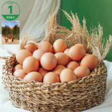 서연농장 [난각번호] 1번 프리미엄 동물복지 방목유정란 30구, 1개