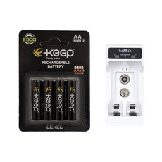렉셀 e-keep 고용량 AA충전지 4알+비핏 2구 충전기세트, 1개, 1개입