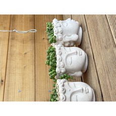 어제봤던식물 석가탄신일 부처님화분 + 콩란 화분세트, 1개, 부처님화분 + 콩란세트