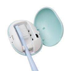 르웨이 무선 휴대용 조약돌 칫솔 살균기 UV-C LED 자외선 칫솔 소독기 C-TYPE, 민트