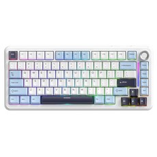FREEWOLF F75 맞춤형 RGB 유무선 3모드 기계식 키보드, 제조사축, 가오터 실버 문축, 글라시어 블루