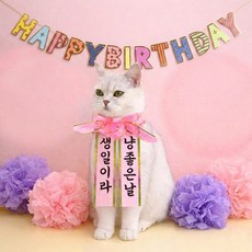 반려동물 생일 화환 세트 강아지 고양이 생일파티 용품 가랜드 홈파티 꾸미기 촬영 소품, 1세트, 2.생일이라 냥좋은날
