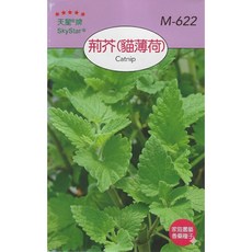 天星牌 荊芥(貓薄荷) 種子 SkyStar 原包裝, 1包