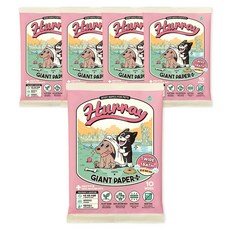 허레이 자이언트 페이퍼, 5팩, 10개입