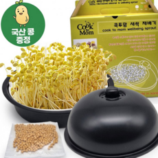 루체트리 콩나물재배기 국산콩증정 쿡투맘 국산 교육용 학습용 가정용 새싹재배기 무료홍보스티커작업, 무지박스, 콩나물재배기+콩 그레이