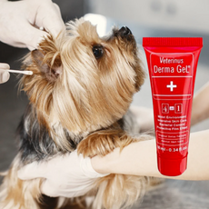 강아지 귀 연고 귓병 귀 외이염 피부 염증 연고, 1개, 10ml