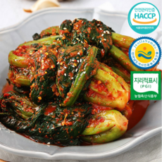 [한국김치대상] 쿠팡입점기념특가 궁극의감칠맛 여수 갓김치, 1개, 3kg