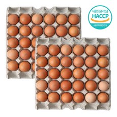 [HACCP인증] 장보남 촉촉 쫄깃한 맥반석 구운계란 대란, 1세트, 60구